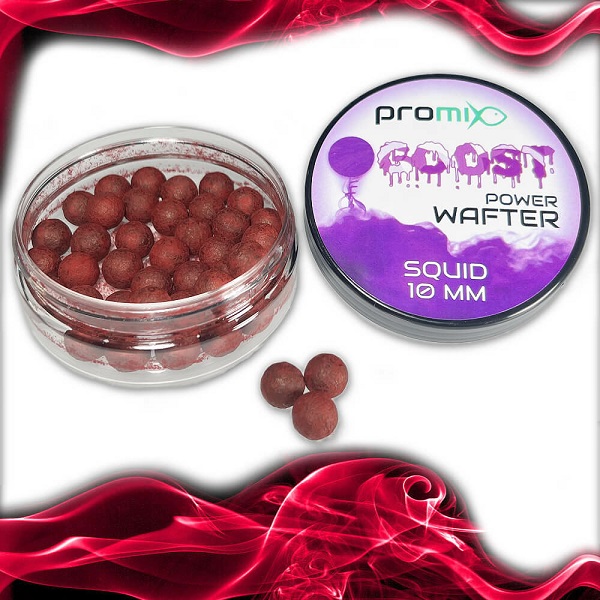 Promix Ghost Power Wafter 10mm Squid